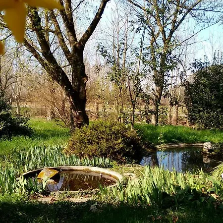 Welc Om Green Abano Terme